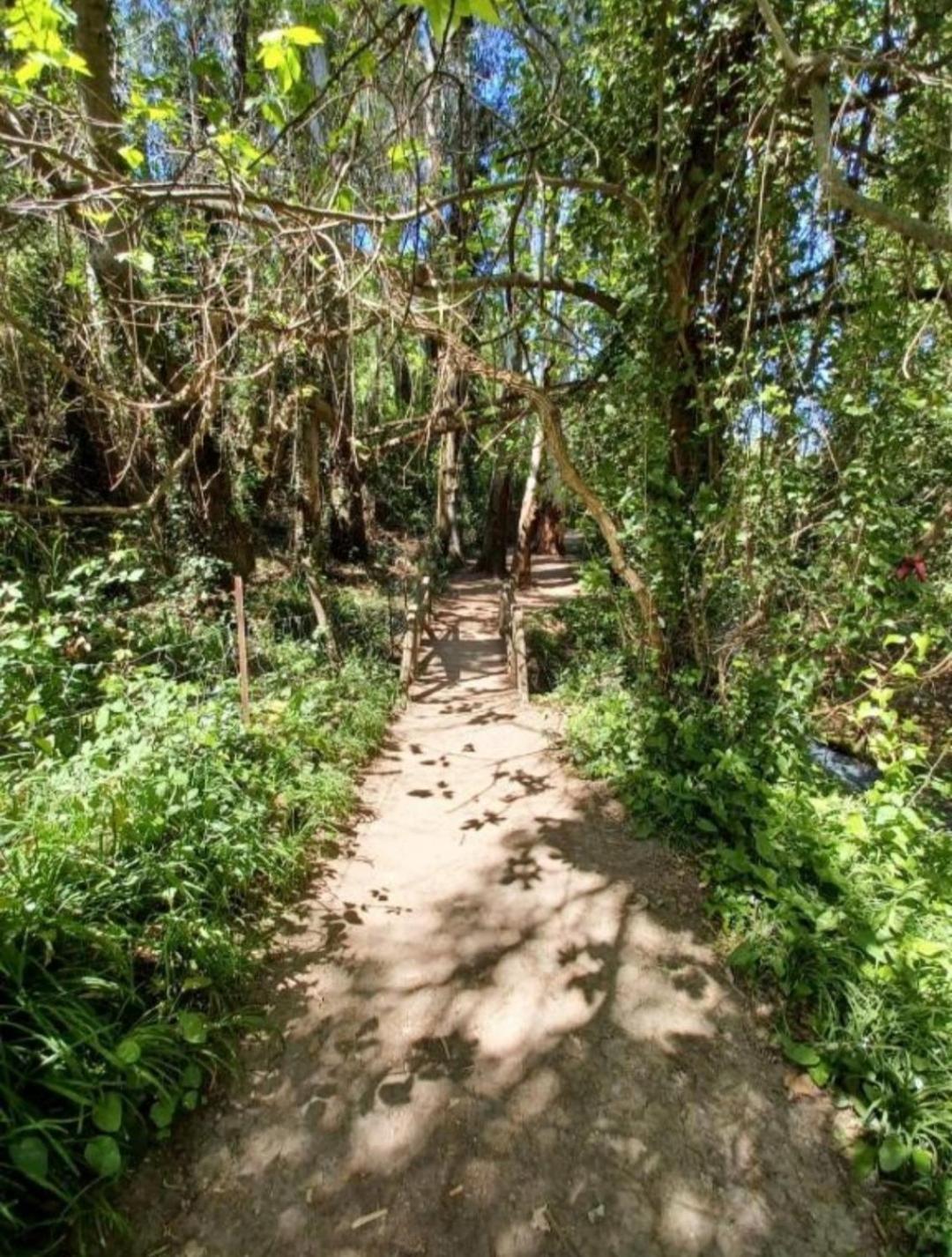 Mi Descanso El Bosque Luaran gambar