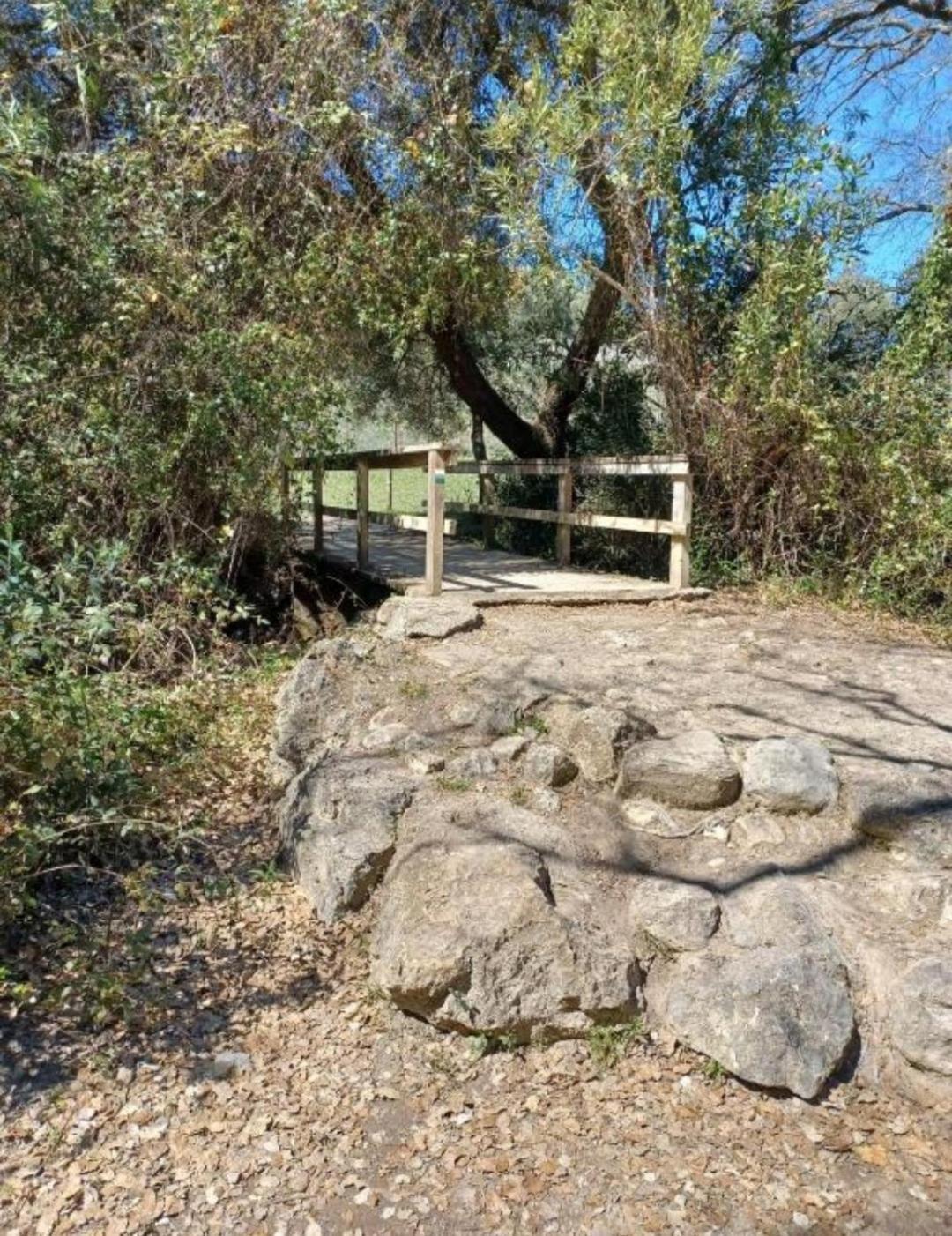 Mi Descanso El Bosque Luaran gambar