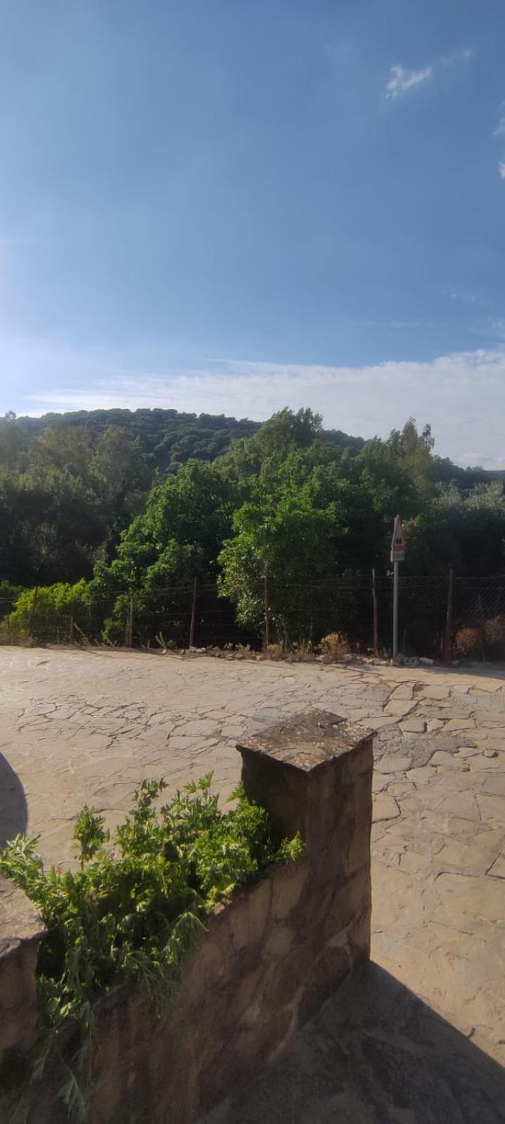Mi Descanso El Bosque Luaran gambar