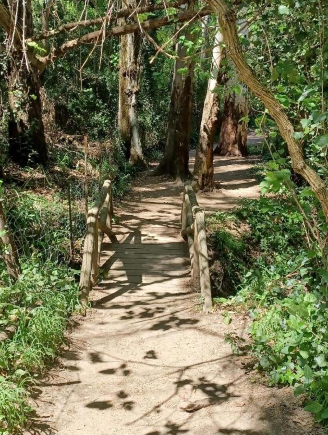 Mi Descanso El Bosque Luaran gambar